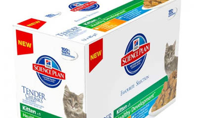 Win Hill's Science Plan Kitten Food