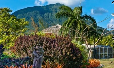 Win a Caribbean Holiday with Foodism