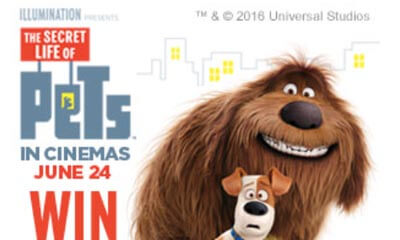 10 Secret Life of Pets Toy Bundles Up for Grabs