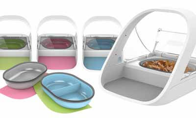 Win a SureFeed Microchip Pet Feeder