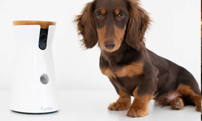 Win 1 of 4 Furbo Treat Tossing Pet Cameras