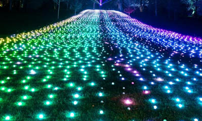 Win a Magical Christmas Trail at Kew