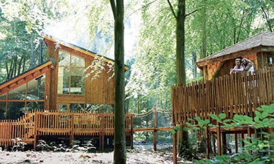 Win a One Week Family Forest Holiday