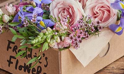 Win Freddie's Flowers 6 Month Supply