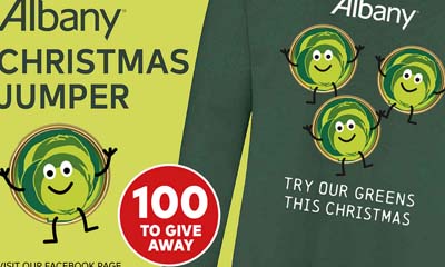 Free Albany Christmas Jumpers