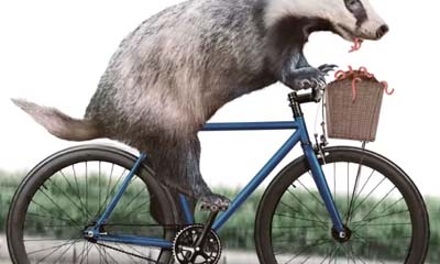 Free 'Biker Badger' Print T-shirt
