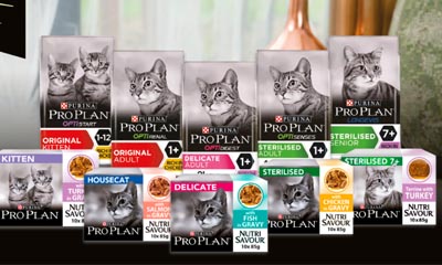 Free Purina Pro Plan range of Cat Food