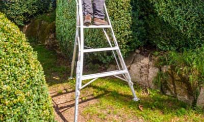 Win Henchman Ladders Worth £500 each