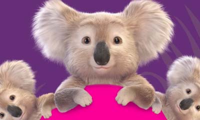 Free Cushelle Kenny Koala Cuddly Toy