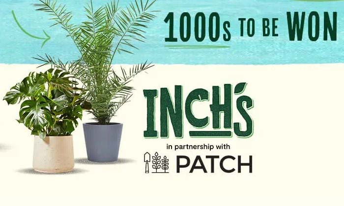 Free Patch Plants from Inch's Cider