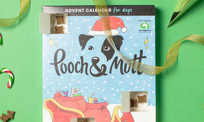 Free Dog Advent Calendar from Pooch & Mutt
