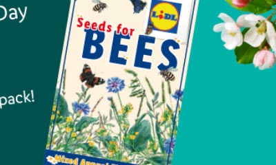 Free Wildflower Seeds from Lidl