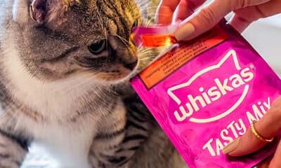 Free Whiskas Tasty Mix Cat Food