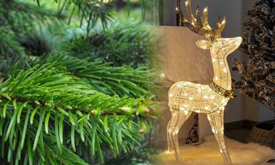 Win a Christmas Reindeer Decoration with NeedleFresh