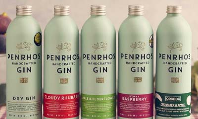 Win a Penrhos Gin Selection and Glass Set