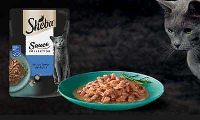 Free Sheba Sauce Lover Cat Food