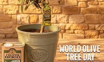 Free Filippo Berio Christmas Bauble and Oil Bundle