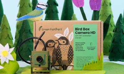 Free Green Feather Wildlife Camera