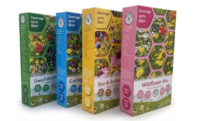 Free Pure Wild Flowers Summer Mix